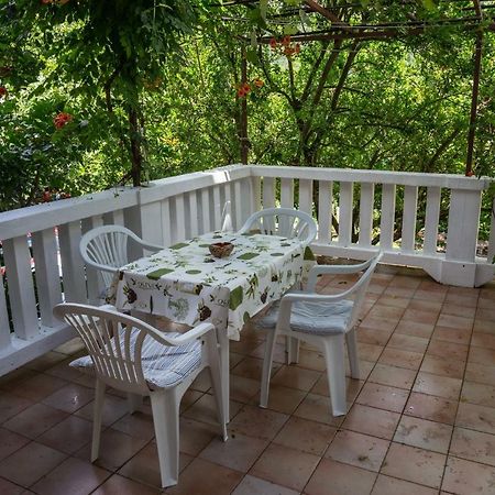 Apartment Nada Medveja 로브란 외부 사진